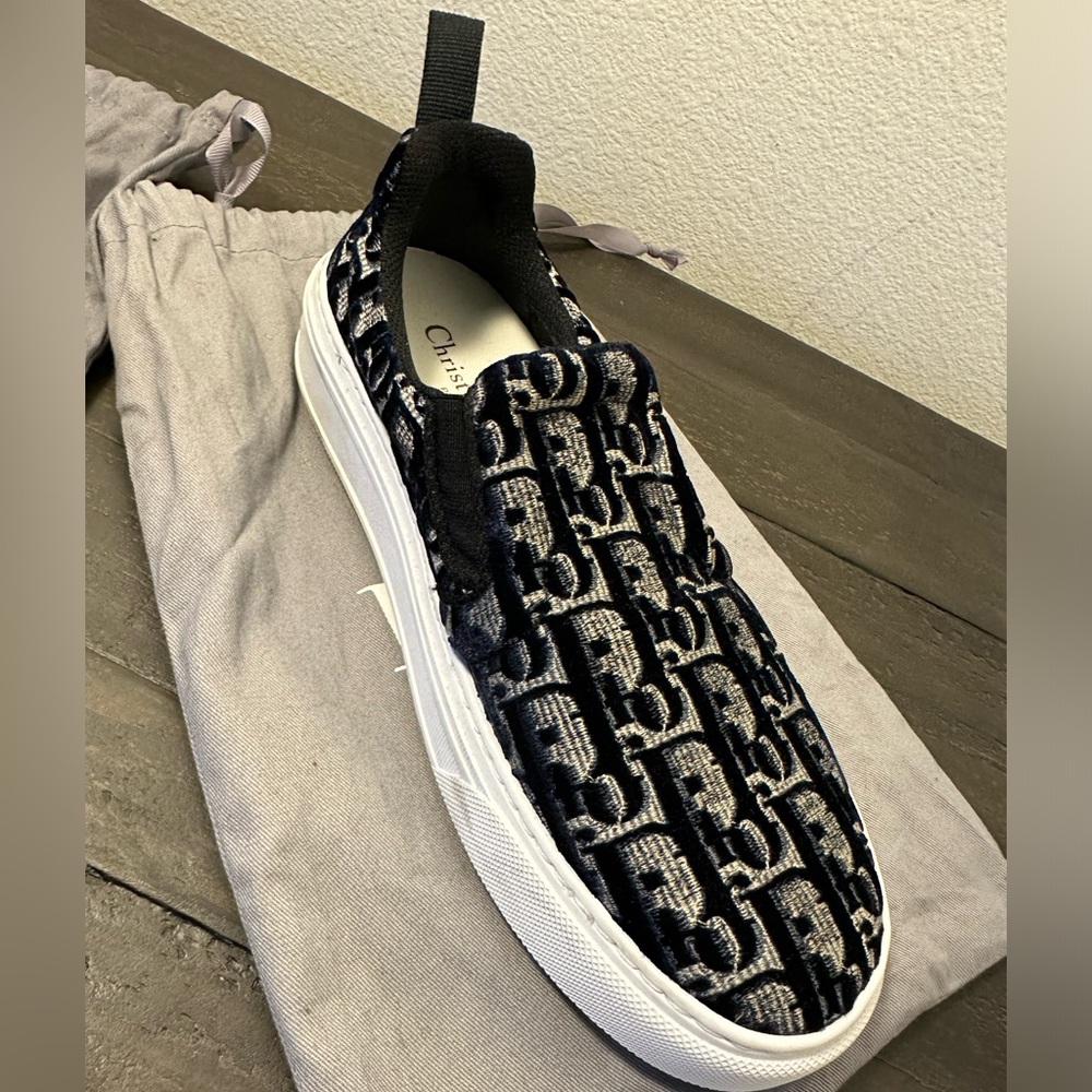 Dior Solar Oblique Logo Flat Skate Slip On Low Sneaker
